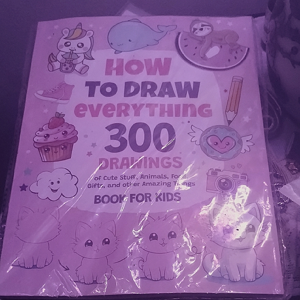 How to Draw Everything 300 Drawings Book for Kids